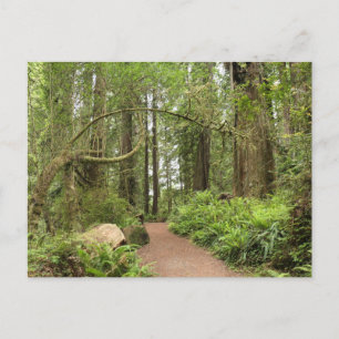 Postal Sendero Karl Knapp