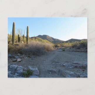 Postal Sendero King Canyon I