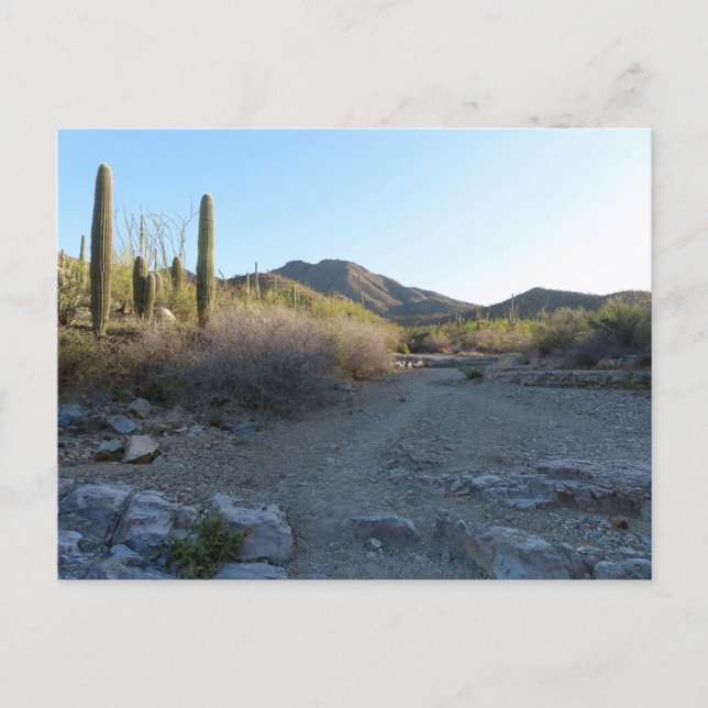 Postal Sendero King Canyon I (Anverso)