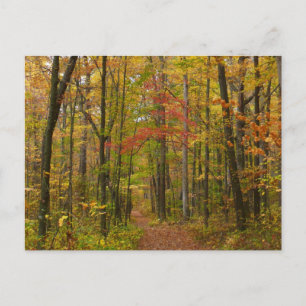 Postal Sendero Laurel Hill en otoño