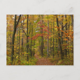 Postal Sendero Laurel Hill en Otoño