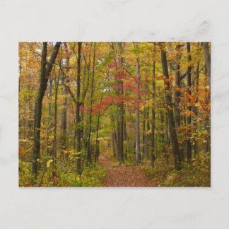 Postal Sendero Laurel Hill en otoño