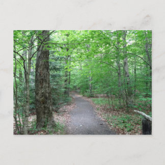 Postal Sendero Lonesome Lake Trail en New Hampshire