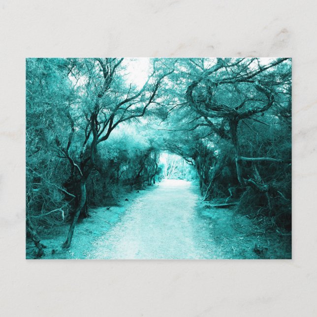 Postal Sendero misterioso, camino de luna, árboles (Anverso)