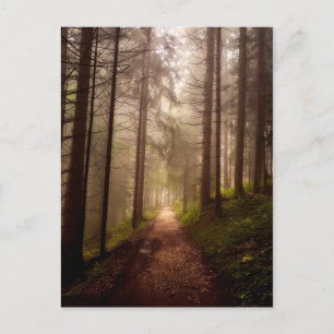 Postal Sendero Misty Woodland