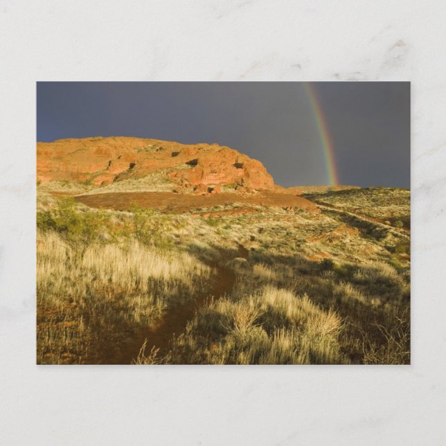 Postal Sendero simple en Red Cliffs Desert Preserve cerca (Anverso)