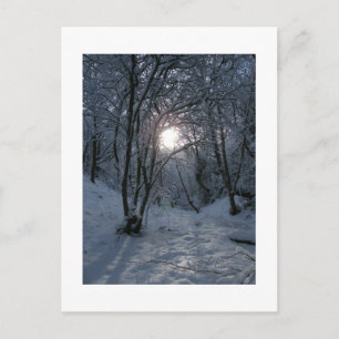 Postal Sendero Snowley Forest