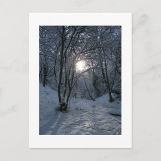 Postal Sendero Snowley Forest