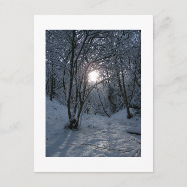 Postal Sendero Snowley Forest (Anverso)