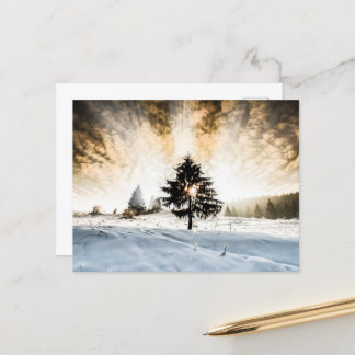 Postal Sendero Snowy