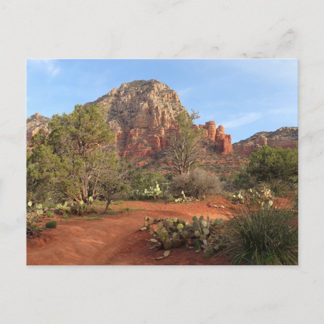 Postal Sendero Teacup I (Anverso)