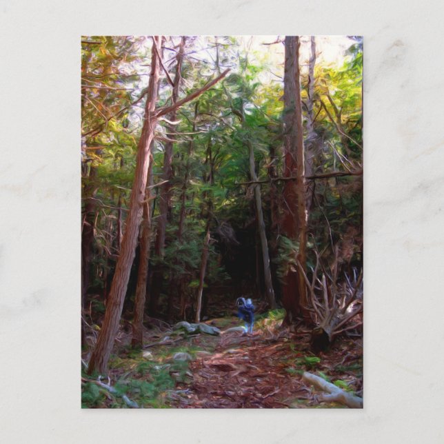 Postal Senderos Black Rock, Parque Estatal Harriman, Nuev (Anverso)