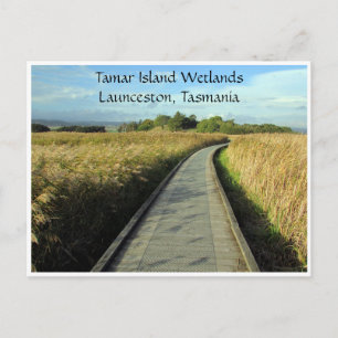 Postal senderos de humedales de tamar