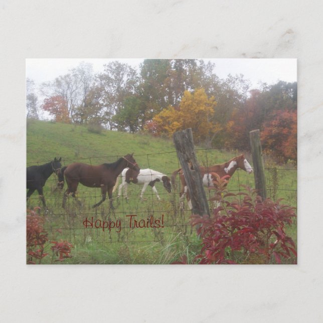 Postal ¡Senderos felices! (Anverso)