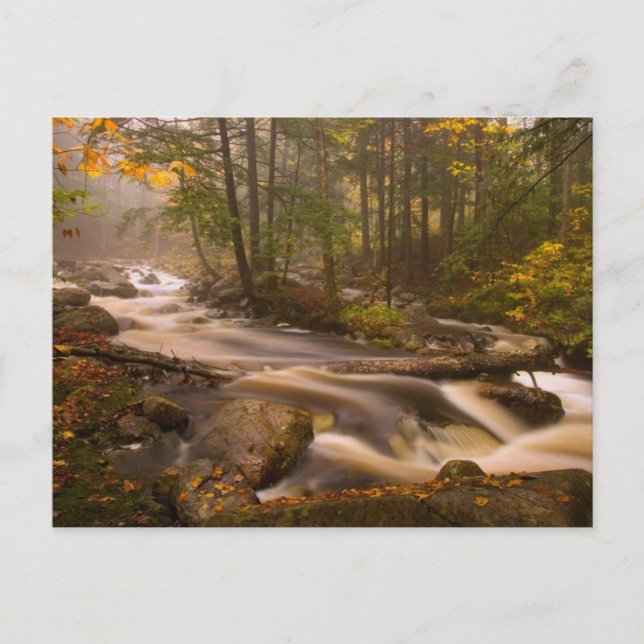 Postal Senderos Fluyentes Appalachian Trail | Vermont (Anverso)