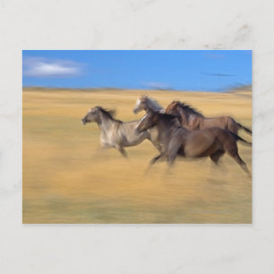 Postal Seneca, Oregón, EE.UU.