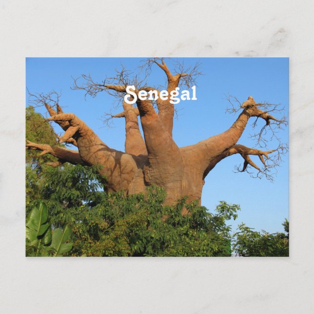 Postal Senegal (Anverso)