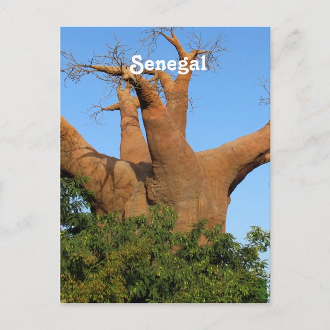 Postal Senegal (Anverso)