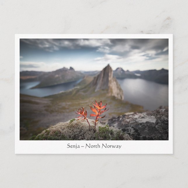 Postal Senja Noruega (Anverso)
