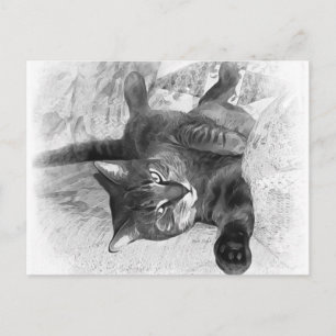 Postal Señor Gato