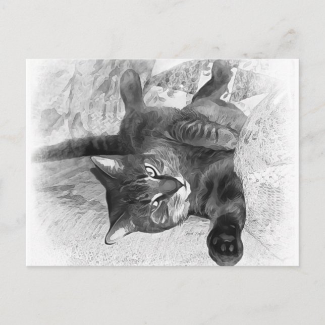 Postal Señor Gato (Anverso)