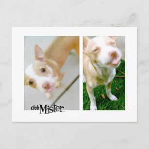 Postal ¡Señor! ¡Tonga!