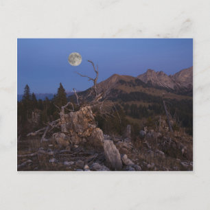 Postal Señora De La Noche