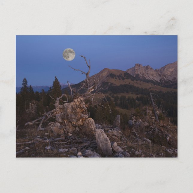 Postal Señora De La Noche (Anverso)