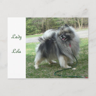 Postal Señora Lola Postcard