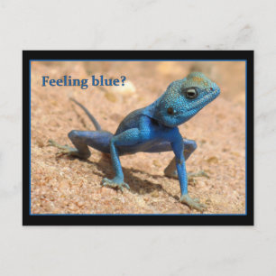 Postal Sensación de azul obtener una buena carta