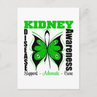 Sensibilización sobre la enfermedad renal Mariposa