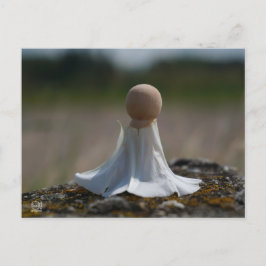 Postal Sensueel gehuld poppetje in een bloemen jurkje.