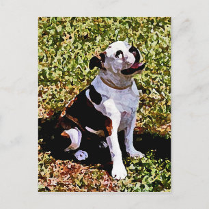 Postal Sentado de Buldog con boca abierta