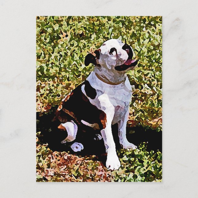 Postal Sentado de Buldog con boca abierta (Anverso)