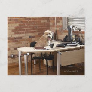 Postal Sentado de perro en el escritorio