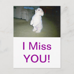 Postal Sentarse en Malta