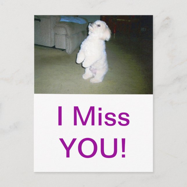 Postal Sentarse en Malta (Anverso)