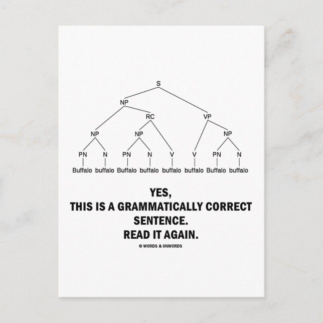 Postal Sentencia gramaticalmente correcta de búfalo (8 ve (Anverso)