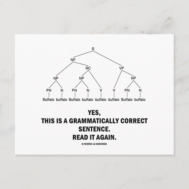 Postal Sentencia gramaticalmente correcta de búfalo (8 ve (Anverso)