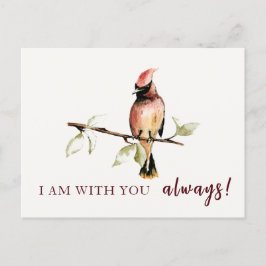 Postal Sentimental Soy Contigo Siempre Cardenal Rojo