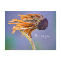 Sentimiento de Preocupación y Cuidado Aquí para Ti