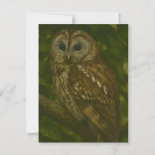 Postal Sentinel forestal - Arte de vida silvestre de lech