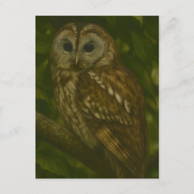 Postal Sentinel forestal - Arte de vida silvestre de lech (Anverso)