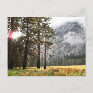 Postal Sentinel Meadow