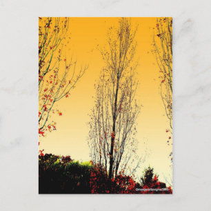 Postal "Sentinel solitario"