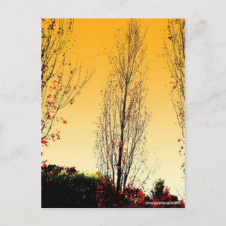 Postal "Sentinel solitario"