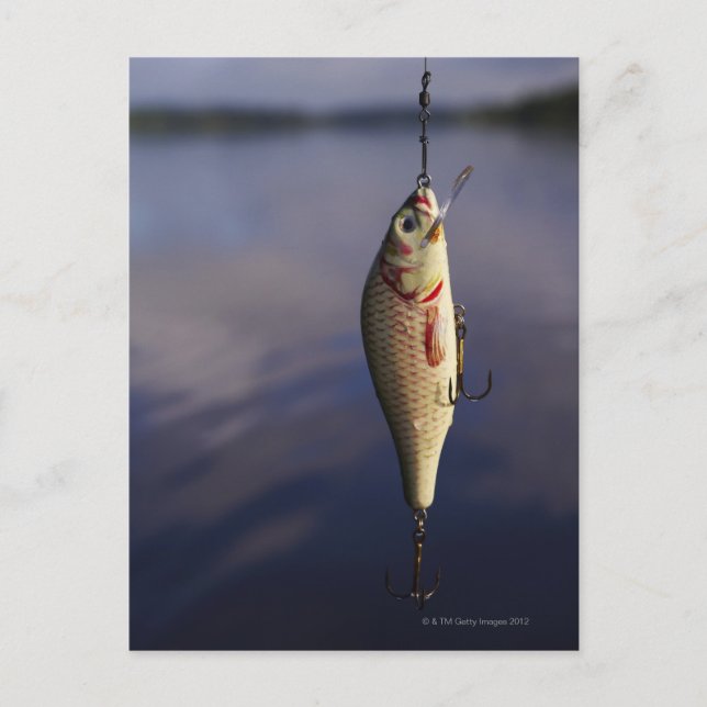 Postal señuelo de pesca frente al agua (Anverso)