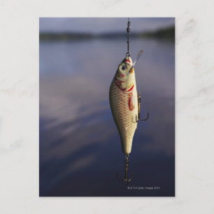 Postal señuelo de pesca frente al agua