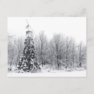 Postal separación con certeza