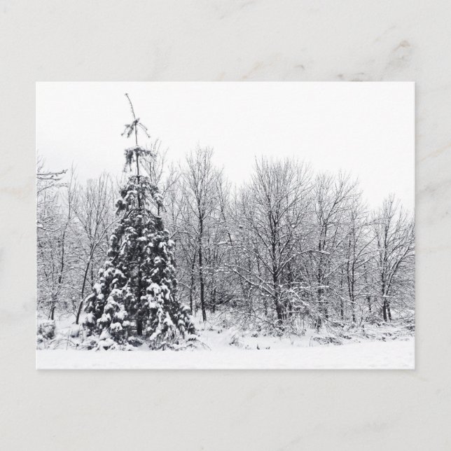 Postal separación con certeza (Anverso)